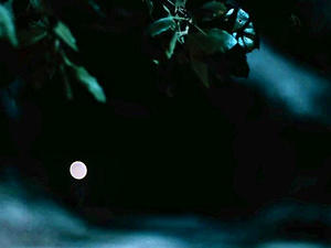 Camp Carnage - Part 1